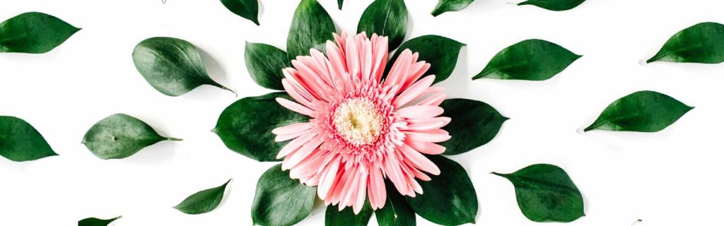 composition for your design